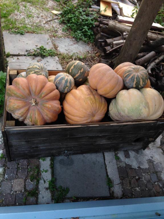 Domus Agricolae Corallina Torre del Greco Bagian luar foto