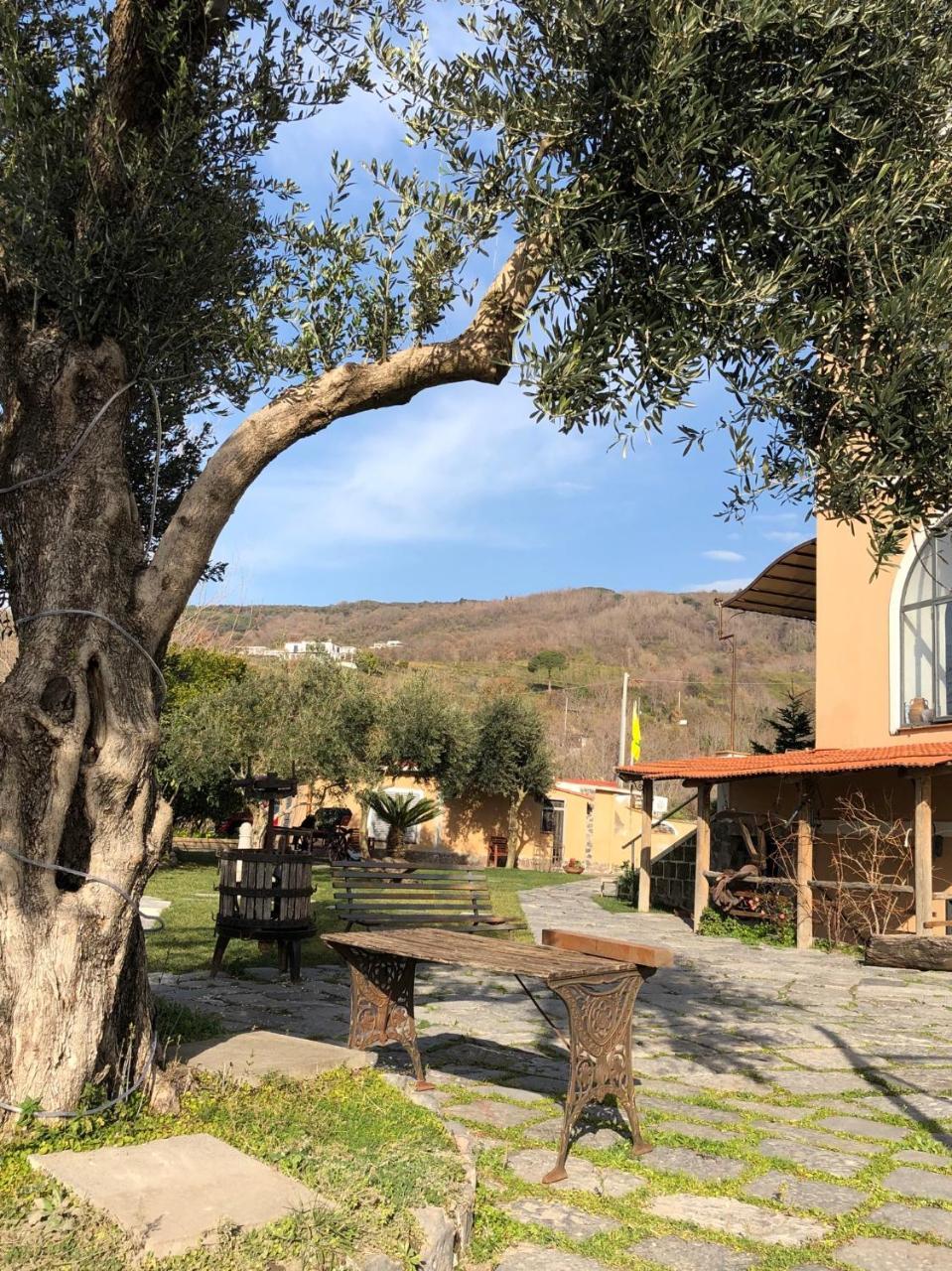 Domus Agricolae Corallina Torre del Greco Bagian luar foto