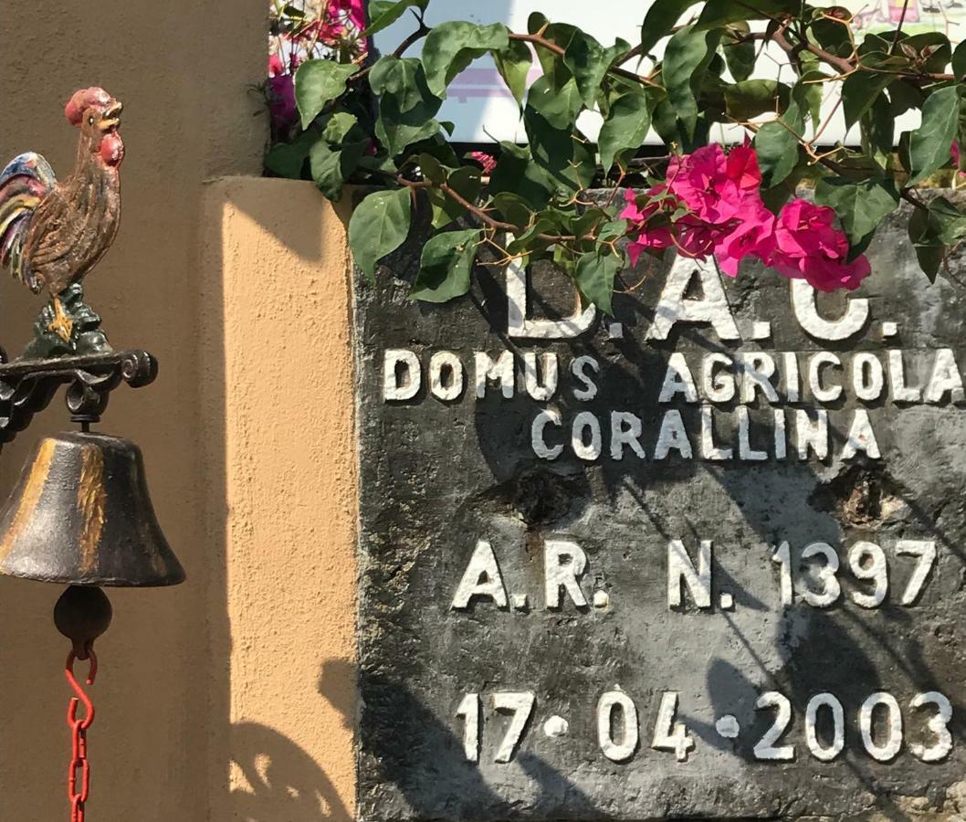 Domus Agricolae Corallina Torre del Greco Bagian luar foto