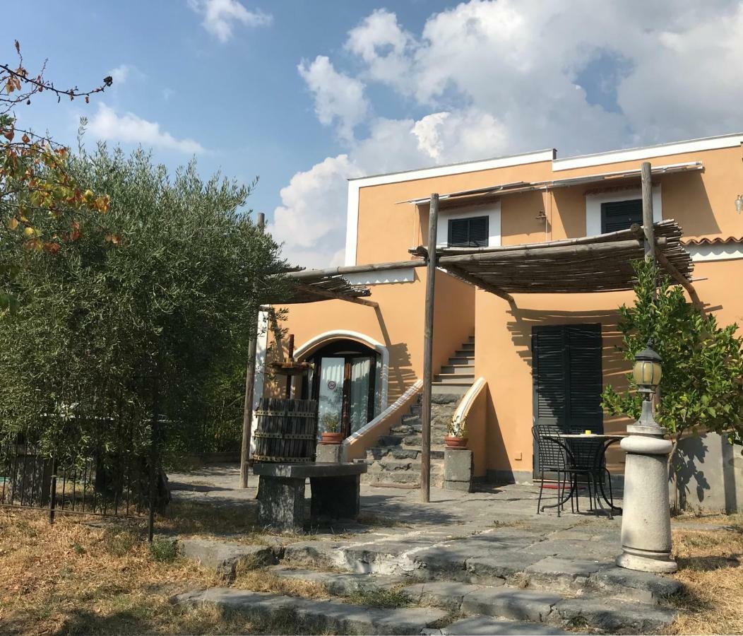 Domus Agricolae Corallina Torre del Greco Bagian luar foto