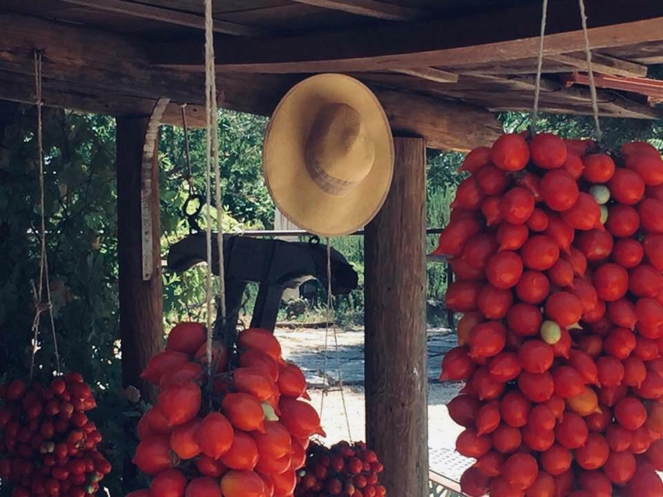 Domus Agricolae Corallina Torre del Greco Bagian luar foto